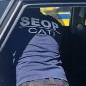 Cachorro Resgatado de Carro Fechado no Rio de Janeiro: Seop Alerta Sobre Maus-Tratos e Riscos de Morte