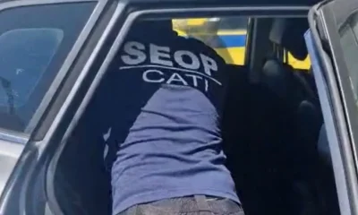 Cachorro Resgatado de Carro Fechado no Rio de Janeiro: Seop Alerta Sobre Maus-Tratos e Riscos de Morte