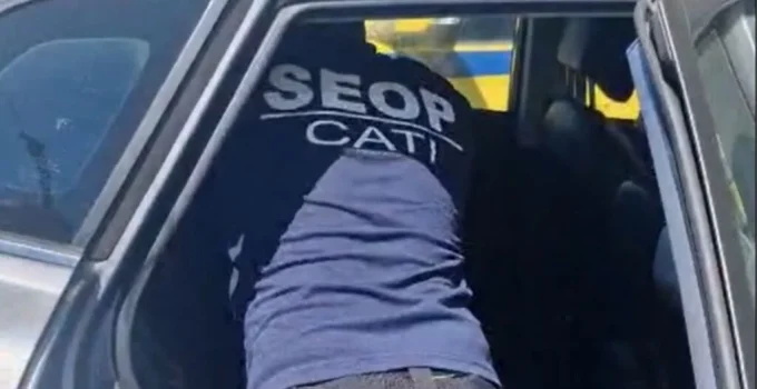 Cachorro Resgatado de Carro Fechado no Rio de Janeiro: Seop Alerta Sobre Maus-Tratos e Riscos de Morte