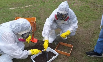 Ibama participa de capacitação em resposta a emergências radiológicas no Rio de Janeiro