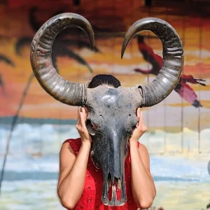 Exposição 'Amazônidas' chega a Belém após sucesso no Rio de Janeiro com 17 artistas e imersão cultural gratuita