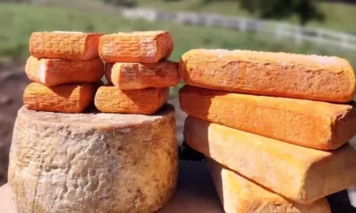 Rota Queijeira Serra do Rio: Descubra o Sabor Artesanal e a História da Produção de Queijos no RJ