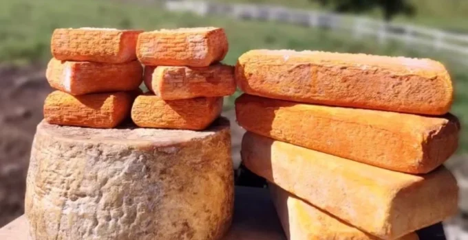 Rota Queijeira Serra do Rio: Descubra o Sabor Artesanal e a História da Produção de Queijos no RJ