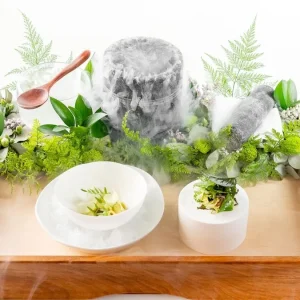 Brasil Celebra Marco Histórico na Gastronomia: Evvai e Tuju Alcançam 3 Estrelas Michelin em 2026