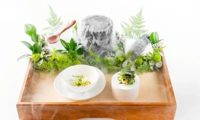 Brasil Celebra Marco Histórico na Gastronomia: Evvai e Tuju Alcançam 3 Estrelas Michelin em 2026