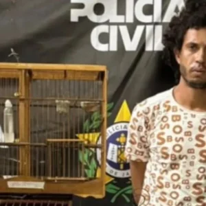 Homem que espancou capivara até a morte em Duque de Caxias é preso após vídeo viralizar nas redes sociais