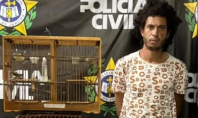 Homem que espancou capivara até a morte em Duque de Caxias é preso após vídeo viralizar nas redes sociais