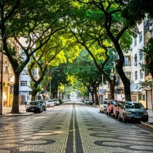 Copacabana: Rua Santa Clara é tombada como patrimônio paisagístico com seu corredor verde de oitis