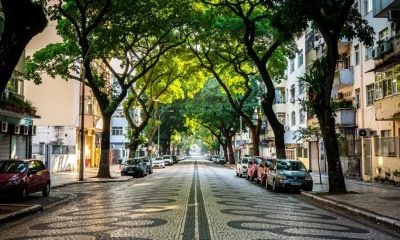 Copacabana: Rua Santa Clara é tombada como patrimônio paisagístico com seu corredor verde de oitis