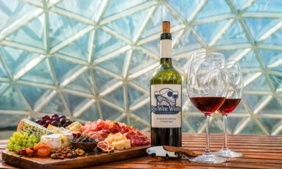 Rio Wine Winter: CasaShopping recebe evento de vinho e gastronomia ao ar livre em maio