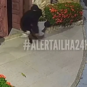 Criminosos Invadem Casa e Atiram em Idoso na Ilha do Governador; Polícia Investiga o Caso
