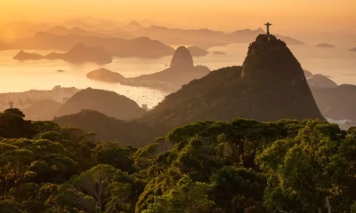 Parque da Tijuca Lidera Ranking Nacional com 4,9 Milhões de Visitantes em 2025, Superando Expectativas de Turismo em UCs Federais