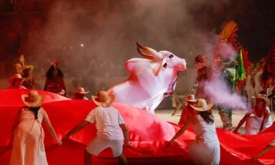 Festa Gratuita do Boi Garantido Leva Cultura Amazônica ao Rio de Janeiro com Música e Tradição
