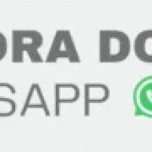 Otoni de Paula Denuncia Flávio Bolsonaro como "Agente Político" das Milícias do Rio de Janeiro