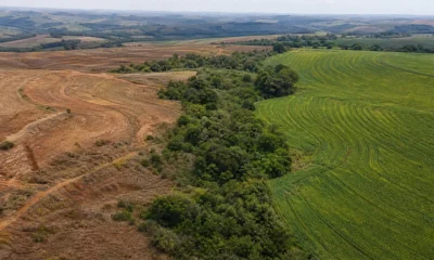 Rio Nature & Climate Week: Líderes defendem união de ações climáticas, de biodiversidade e solo no Brasil