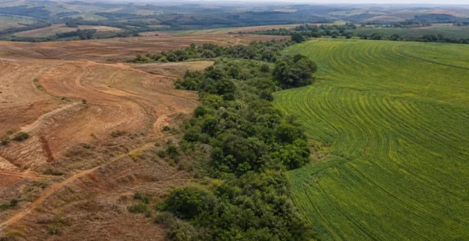 Rio Nature & Climate Week: Líderes defendem união de ações climáticas, de biodiversidade e solo no Brasil