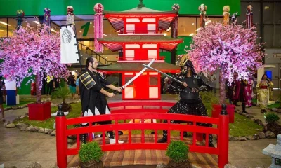 Carioca Matsuri 2026: Festival de Cultura Japonesa no Rio terá chefs Michelin, 80h de programação e impacto de R$ 30 milhões