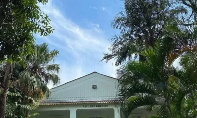 Memorial da Loucura no Rio: Descubra a História da Psiquiatria e a Arte Terapêutica no Engenho de Dentro