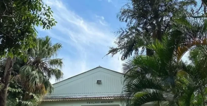 Memorial da Loucura no Rio: Descubra a História da Psiquiatria e a Arte Terapêutica no Engenho de Dentro
