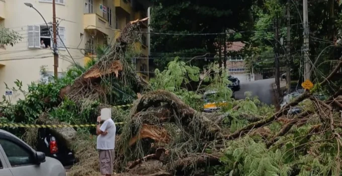 Árvore de Grande Porte Causa Interdição e Queda de Energia na Rua Marechal Jofre, Grajaú, Zona Norte do Rio