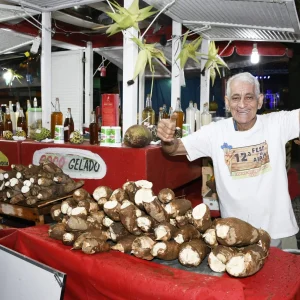 Festa do Aipim em Tinguá: Gastronomia, Artesanato e Música Agitam Nova Iguaçu com Expectativa de 9 Mil Visitantes