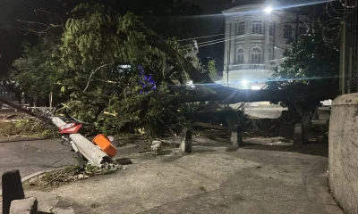 Fortes Ventos Causam Quedas de Árvores em Diversos Pontos do Rio de Janeiro; Veja Previsão do Tempo