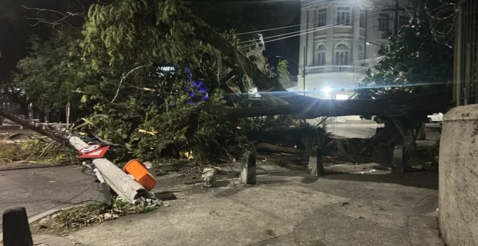 Fortes Ventos Causam Quedas de Árvores em Diversos Pontos do Rio de Janeiro; Veja Previsão do Tempo