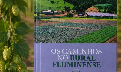 Produção de Cerveja Artesanal Impulsiona Economia, Cultura e Turismo no Rio de Janeiro, Destaca Estudo