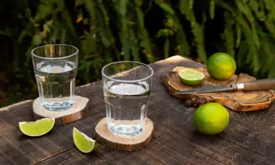 Festival da Cachaça em Visconde de Mauá: Evento Impulsiona Produtores Locais e Turismo na Região