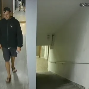 Polícia Civil identifica companheiro como suspeito de matar estudante encontrada em Miguel Pereira