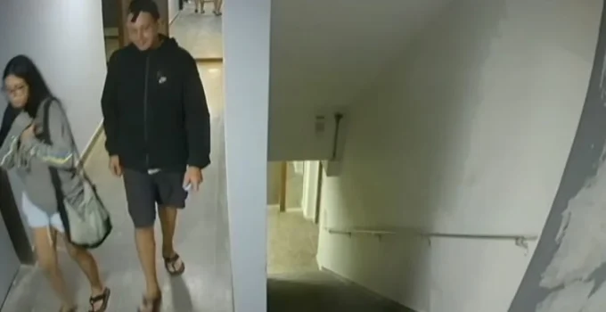 Polícia Civil identifica companheiro como suspeito de matar estudante encontrada em Miguel Pereira