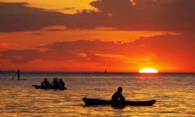 Rota das Praias SP-Rio: Descubra 2.365 praias e 550 ilhas em 760 km de paraísos naturais