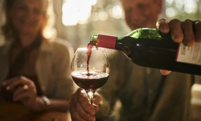 Rio de Janeiro Lança Programa Inovador para Impulsionar Produção de Vinhos e Enoturismo