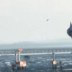 Avião Arremete no Galeão Após Balão Invadir Área de Pouso; Veja Vídeo