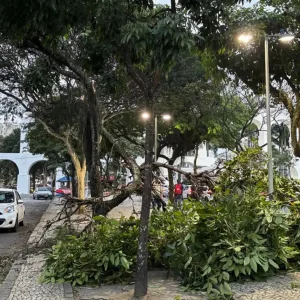 Vendaval no Rio: Saiba o que fazer e evitar para garantir sua segurança com a Defesa Civil
