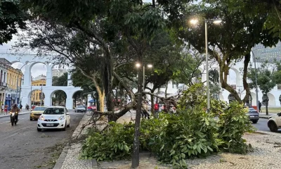 Vendaval no Rio: Saiba o que fazer e evitar para garantir sua segurança com a Defesa Civil
