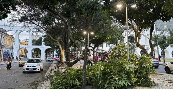 Vendaval no Rio: Saiba o que fazer e evitar para garantir sua segurança com a Defesa Civil
