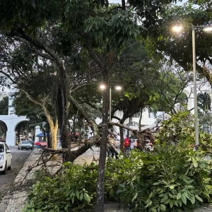 Ventania causa apagão e paralisa transportes no Rio de Janeiro; veja orientações de segurança