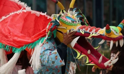 Festival Japonês Gratuito em Petr&oacute;polis: 4 Dias de Cultura Oriental, Gastronomia e Cosplay a Menos de 2h do Rio