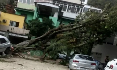 Rio de Janeiro em Alerta: Ventos de até 76 km/h Preocupam Após Vendaval que Deixou Mortos e Apagão