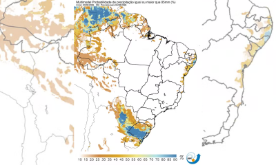 Nova ventania pode atingir o Rio de Janeiro com ventos de até 90 km/h até sábado (8)