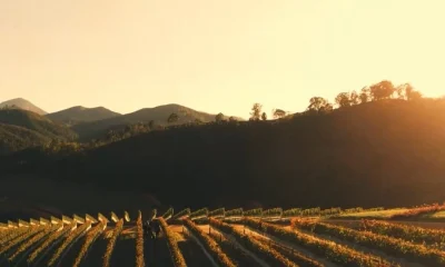 Caravana do Turismo RJ Aquece Barra do Piraí com Mágica, Música e Palestras Após Passagens por Paty do Alferes e Vassouras