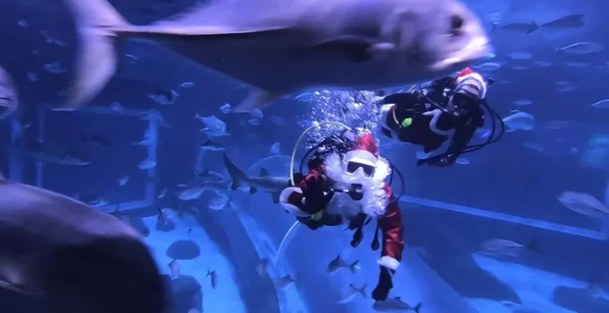 Natal no Rio de Janeiro: Turismo Investe em Experiências Únicas para Atrair Visitantes com Atrações Especiais