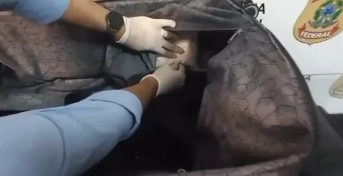 Paraguaio é Preso com 2 kg de Cocaína no Aeroporto do Galeão Tentando Viajar para Madri