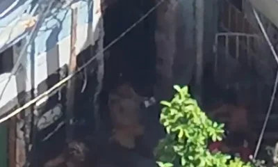 Vovó do Tráfico é Presa Pela Quarta Vez no Centro do Rio com Grande Quantidade de Drogas