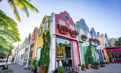 Holambra: Descubra a "Holanda Brasileira" a Poucas Horas do Rio com Moinhos, Flores e Tranquilidade