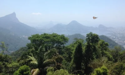 Parques Nacionais do Rio de Janeiro: Refúgios de Paz, Natureza Intocada e Paisagens Deslumbrantes Longe da Agitação Urbana