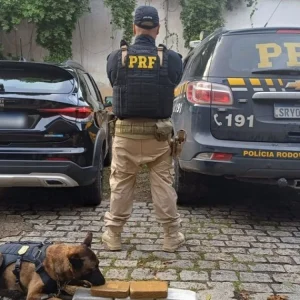 Motorista é Preso com 5kg de Pasta Base de Cocaína Escondida no Tanque de Combustível na Dutra