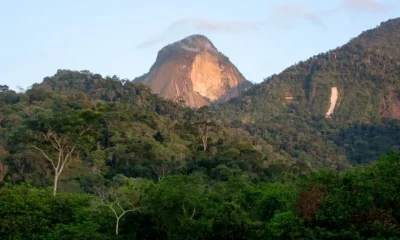 Parque Estadual do Desengano: Trilhas, Mirantes e Biodiversidade para Contato Intenso com a Natureza no RJ