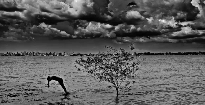 Vetores-Vertentes: Exposição no Rio Celebra a Riqueza da Fotografia Feminina do Pará